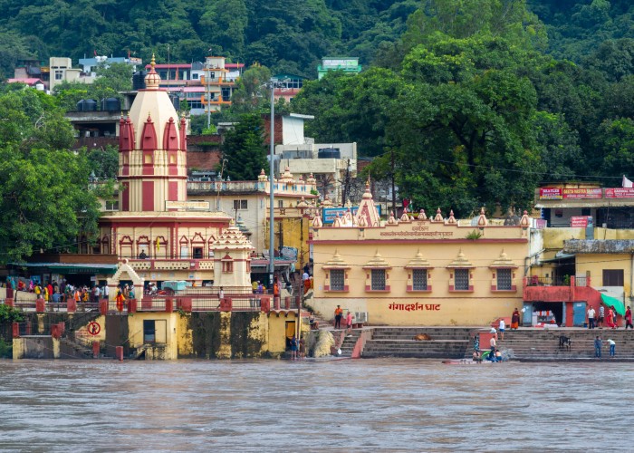 1747044659-pexels-shreyaan-13473095 (1).jpg